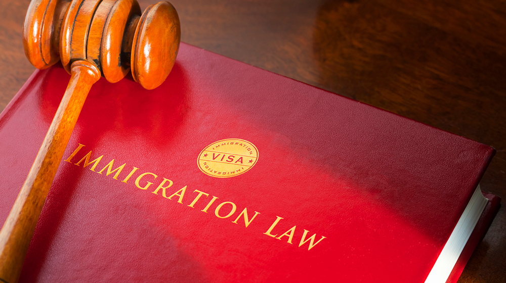 immigration lawyers